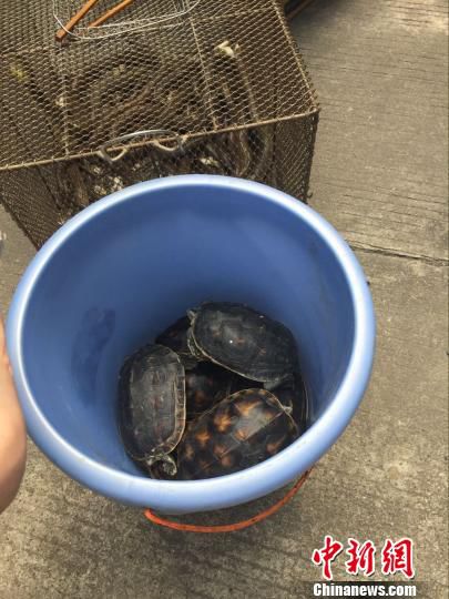 420֘I(y)ֽMɭֹȈ(zh)ˆTͻur(nng)wɼҲ^@Ұһܞt z