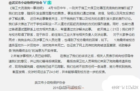 武漢動(dòng)協(xié)就保安撞狗護(hù)發(fā)公告:涉事人員已停職