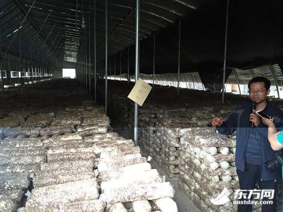 �񄞳���Ƙs���D�Ӵ������s��(l��i)�ľW(w��ng)�j(lu��)ý�w