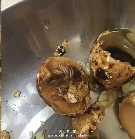 �g�����������