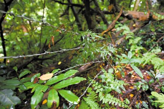 ų܇FzW(wng)o(h)߀͵I߷Խo(h)ƉĘ