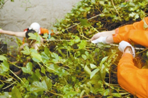 QQ截圖20160812213327