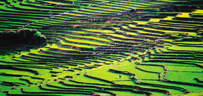 福建省尤溪縣“全域旅游”發(fā)展之路