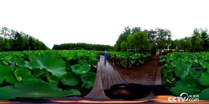 @һҕW(wng) ӛߺδz