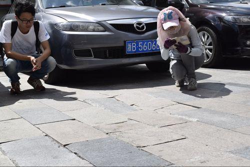 寧波20名大學(xué)生做城管15天采集問(wèn)題3000余件