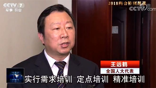 全國人大代表 王遠鶴