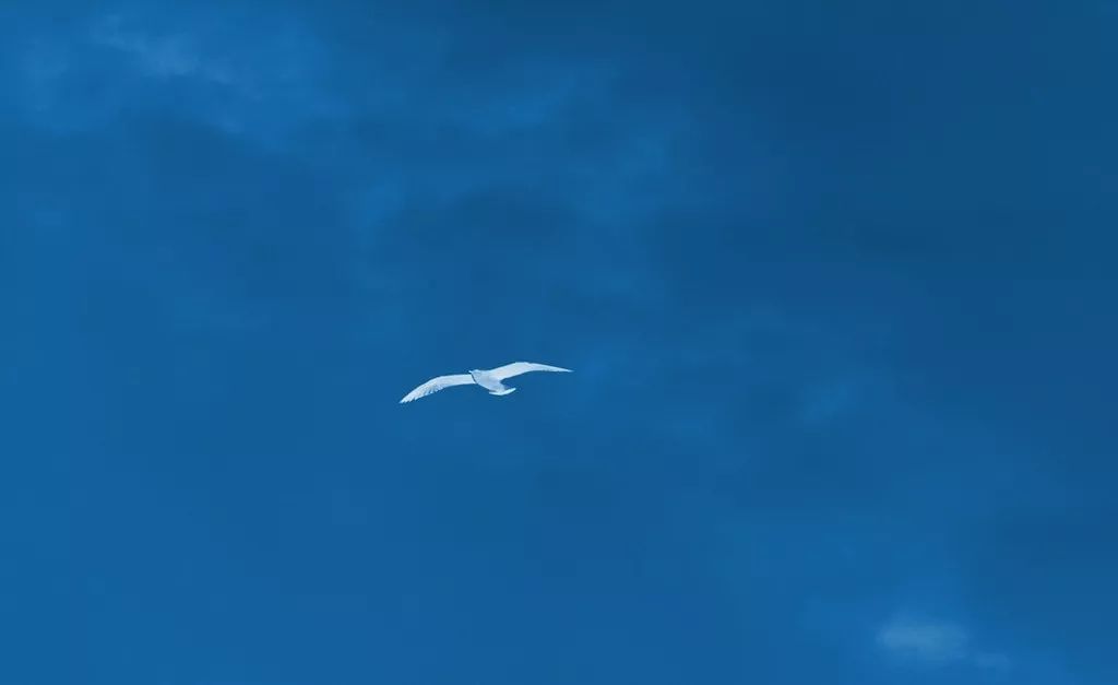 ��(d��ng)�ɲ���Ҫ��(x��)�T���������