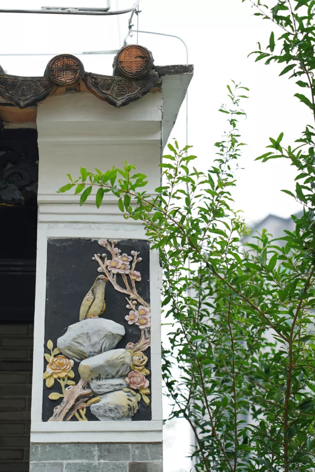 ��ͥԺ���̎�ĸ��� ����ҕӛ������Ĕz��