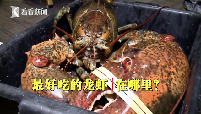 屏幕快照 2018-11-01 14.54.27.png 屏幕快照 2018-11-01 14.54.27.png