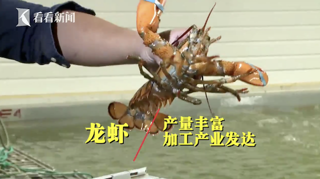 屏幕快照 2018-11-01 14.56.20.png 屏幕快照 2018-11-01 14.56.20.png