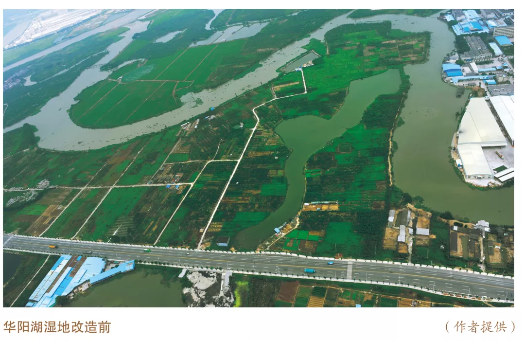 美麗中國(guó)先鋒榜(5)|廣東東莞市華陽(yáng)湖環(huán)境綜合整治推動(dòng)高質(zhì)量發(fā)展