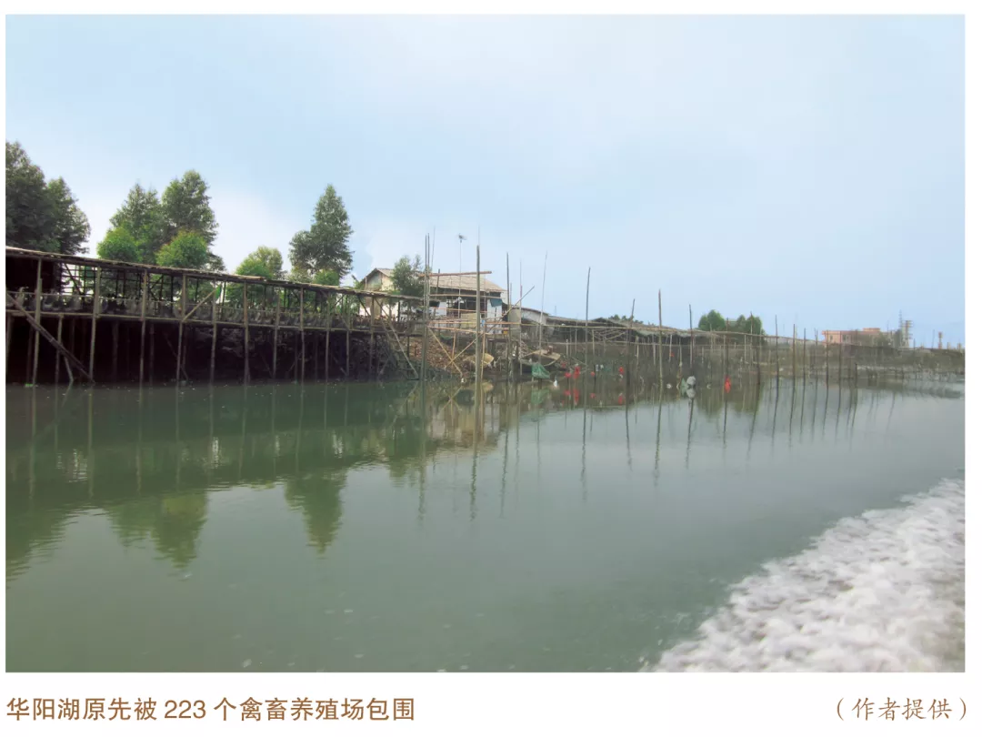 美麗中國(guó)先鋒榜(5)|廣東東莞市華陽(yáng)湖環(huán)境綜合整治推動(dòng)高質(zhì)量發(fā)展