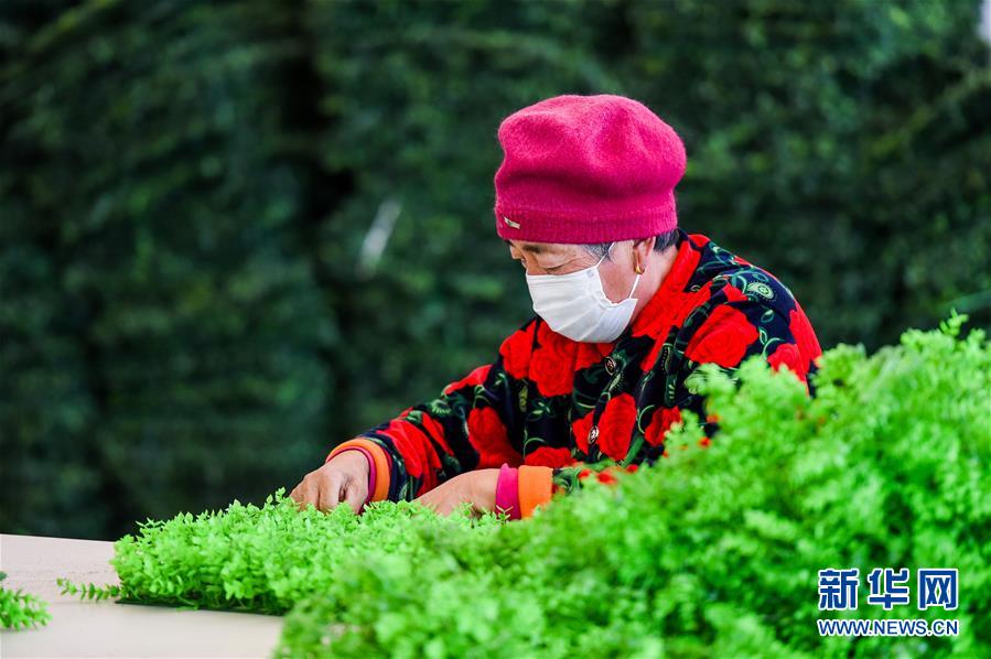 Q(zhn)QÓؚԡDĻӣ2 ɹ׿YhSءÓؚǡ FM܇