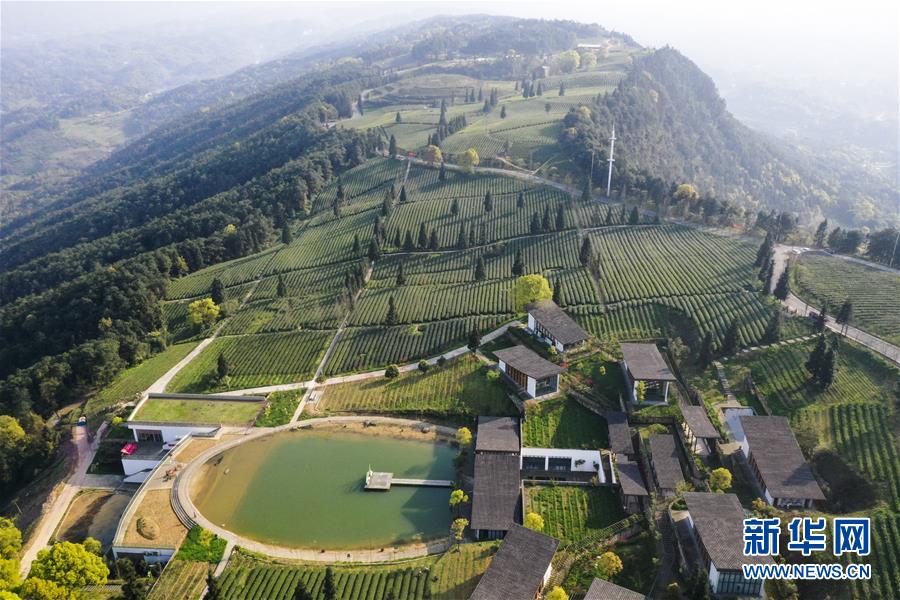 Aȫý^l҂СDĻӣ3Ǵl(xing)ġҸf(xi)ؑcƄӸ|(zh)l(f)չ(chung)Ʒ|(zh)o