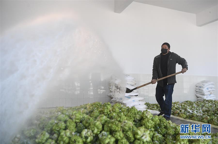 Aȫý^l҂СDĻӣ6Ǵl(xing)ġҸf(xi)ؑcƄӸ|(zh)l(f)չ(chung)Ʒ|(zh)o