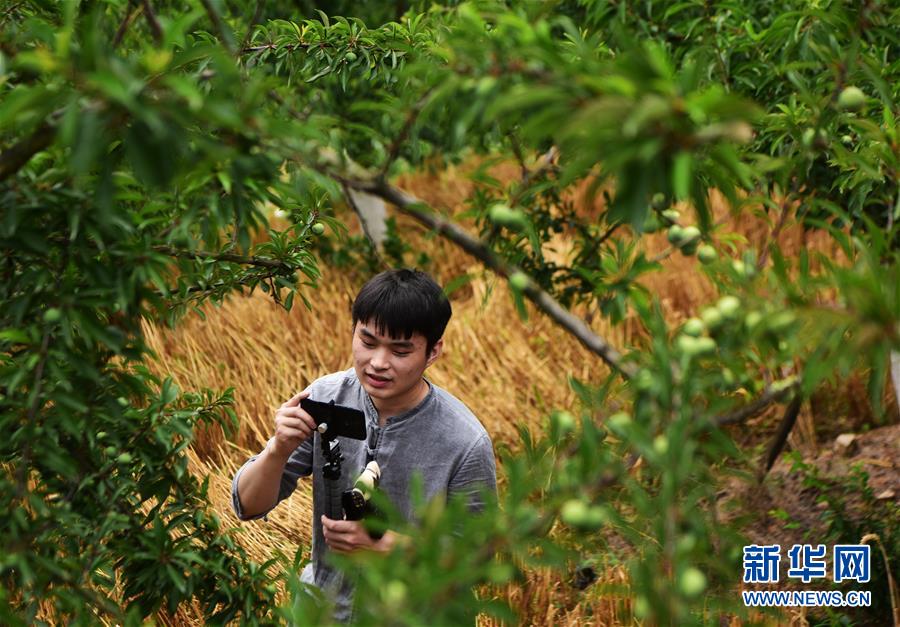 Aȫý^l҂СDĻӣ8Ǵl(xing)ġҸf(xi)ؑcƄӸ|(zh)l(f)չ(chung)Ʒ|(zh)o