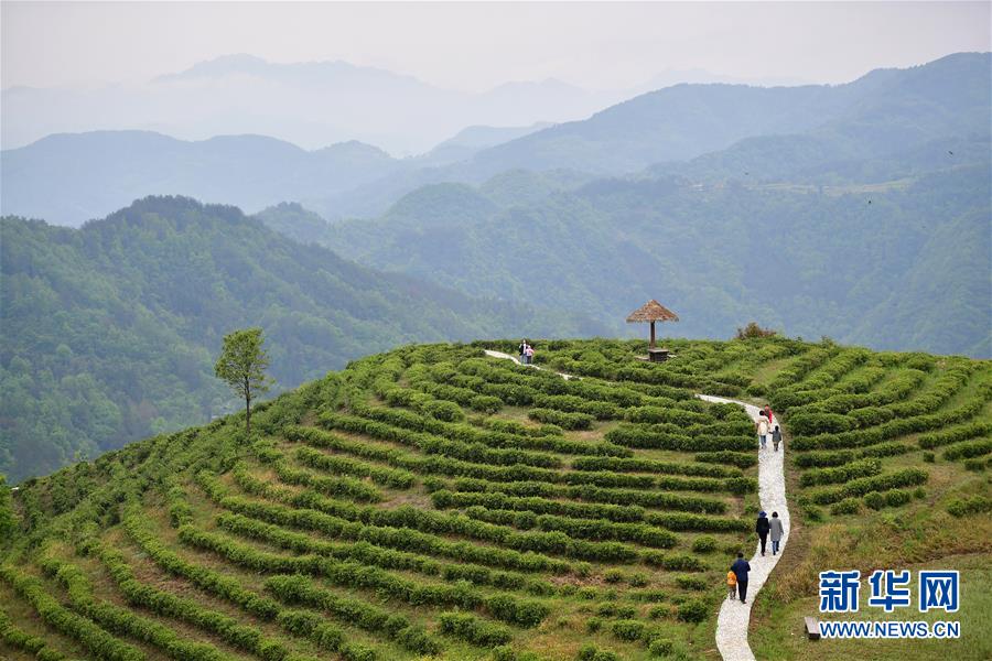 �����Aȫý�^�l�������҂���С������D�Ļ���(d��ng)����5��ۏ���GɫС��·��������ذ�ɽ�^(q��)��Óؚ���