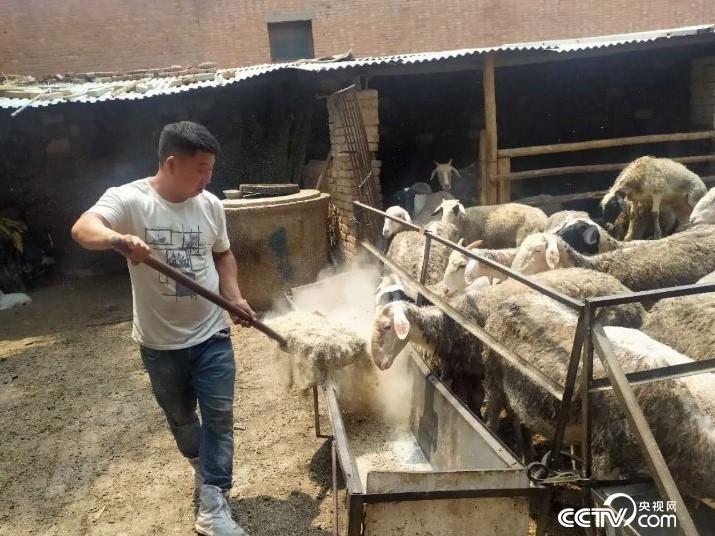 κh(zhn)ؚC(j)ưѷһҏķؚ˻؁(li)¸Сĵ·z/x