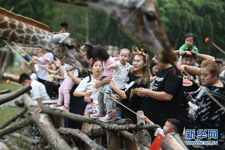 GĿȻá(wn)䌍΄(w)^