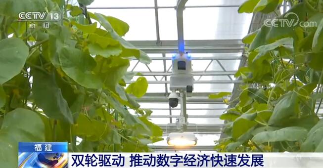 福建在數(shù)字產(chǎn)業(yè)化和產(chǎn)業(yè)數(shù)字化兩方面“雙輪驅(qū)動(dòng)” 推動(dòng)數(shù)字經(jīng)濟(jì)快速發(fā)展
