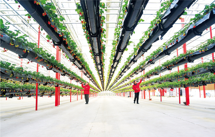 國(guó)家發(fā)展改革委談“十四五”時(shí)期的指導(dǎo)方針和主要目標(biāo)