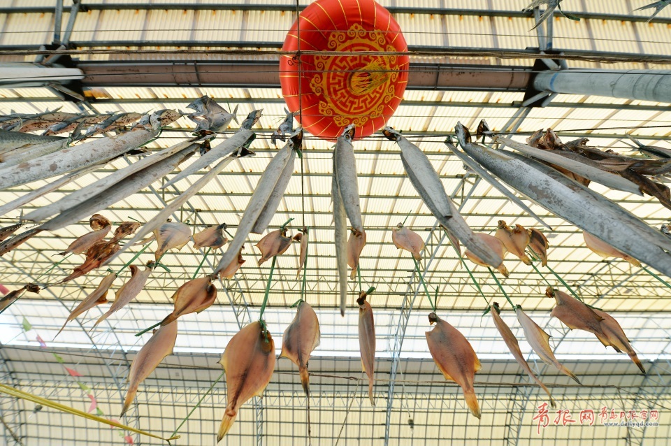 ���u�M(j��n)�������~���� ������ζ�T��ζ��(�D)