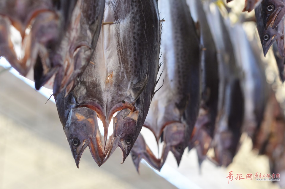 ���u�M(j��n)�������~���� ������ζ�T��ζ��(�D)