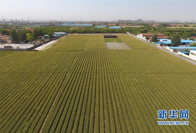 ����(j��ng)������1��ɽ�|С����������e����