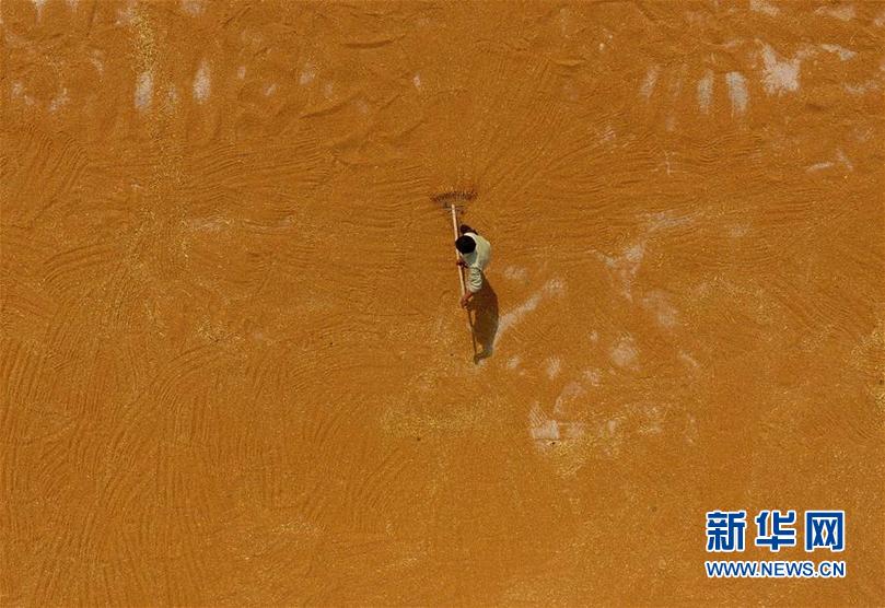 #��ҕ���X�����S��