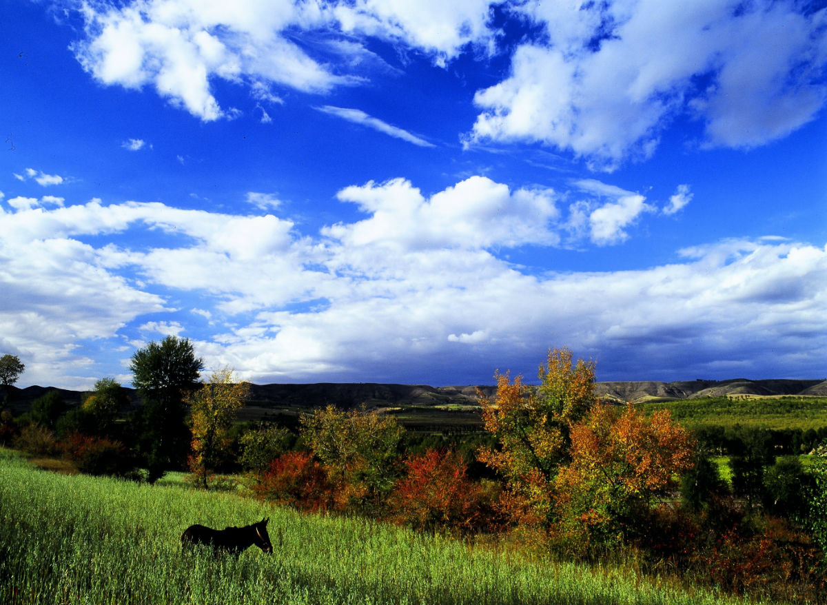 右玉百姓說右玉精神:功成不必在我造福子孫后代 右玉百姓說右玉精神:功成不必在我造福子孫后代