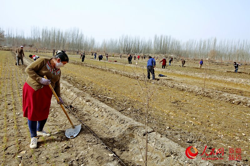 ܇а(zhn)̿˹̹g^၆Ρ z