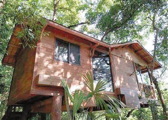 ��������������������������&nbsp;������������������������� ����3������36��������1����������1��������������������