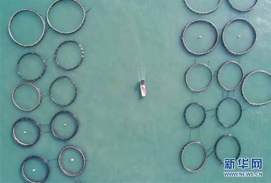 �������Ї�����1���|��������������ӭ�S��